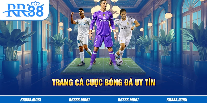 Đánh giá trang cá cược bóng đá uy tín qua nhiều yếu tố