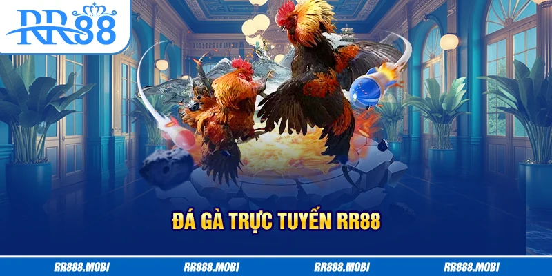 Khái quát dịch vụ đá gà hình thức trực tuyến